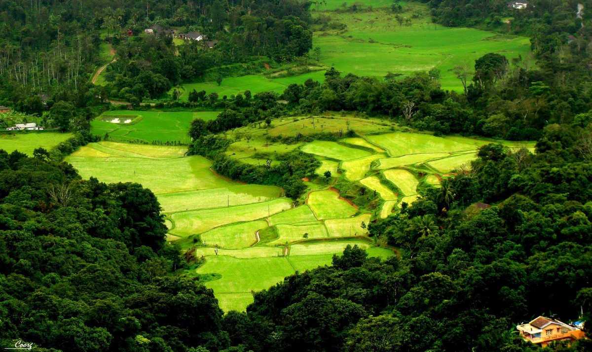 8. Coorg, Karnataka